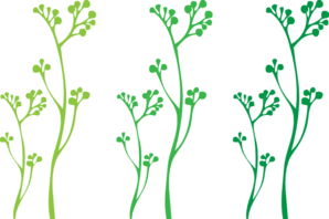Plant Stems Clip Art